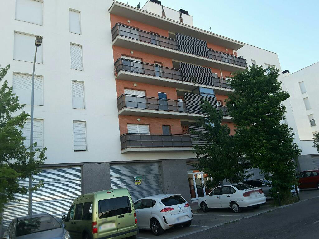Imagen de la subasta en Igualada