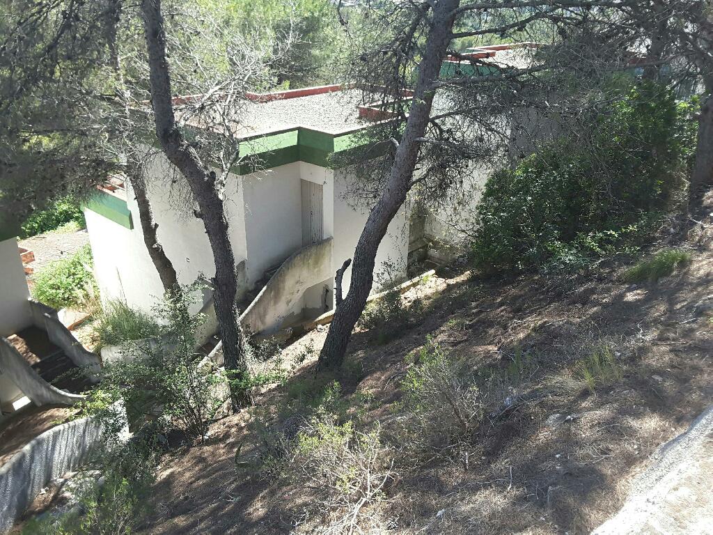 Imagen de la subasta en Canyelles
