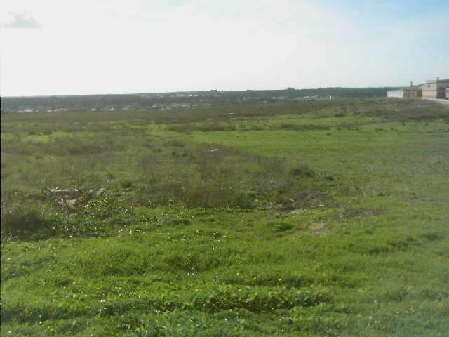 Fachada en Chiclana de la Frontera