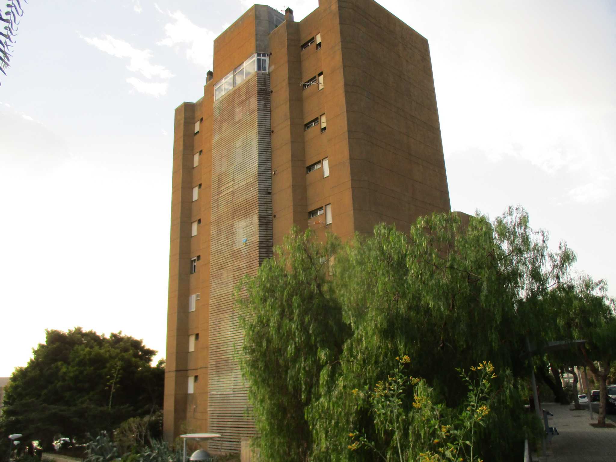 Imagen de la subasta en Santa Cruz De Tenerife