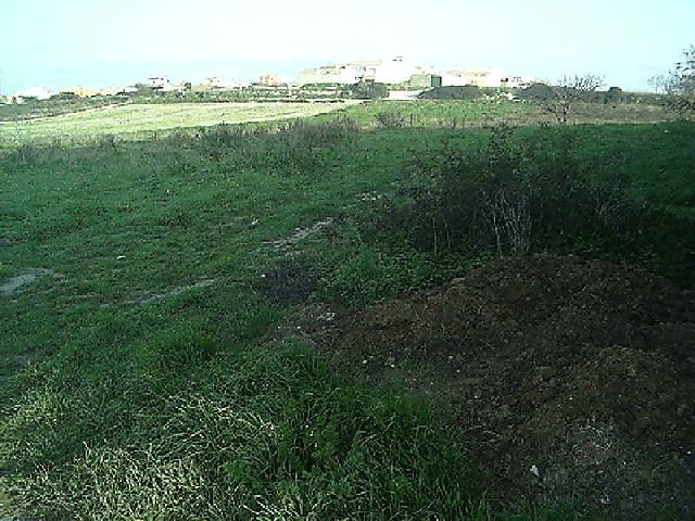 Imagen de la subasta en Chiclana De La Frontera