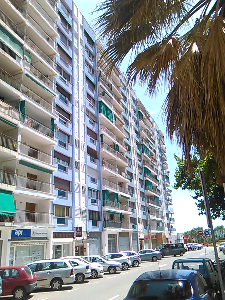 Imagen de la subasta en Calella
