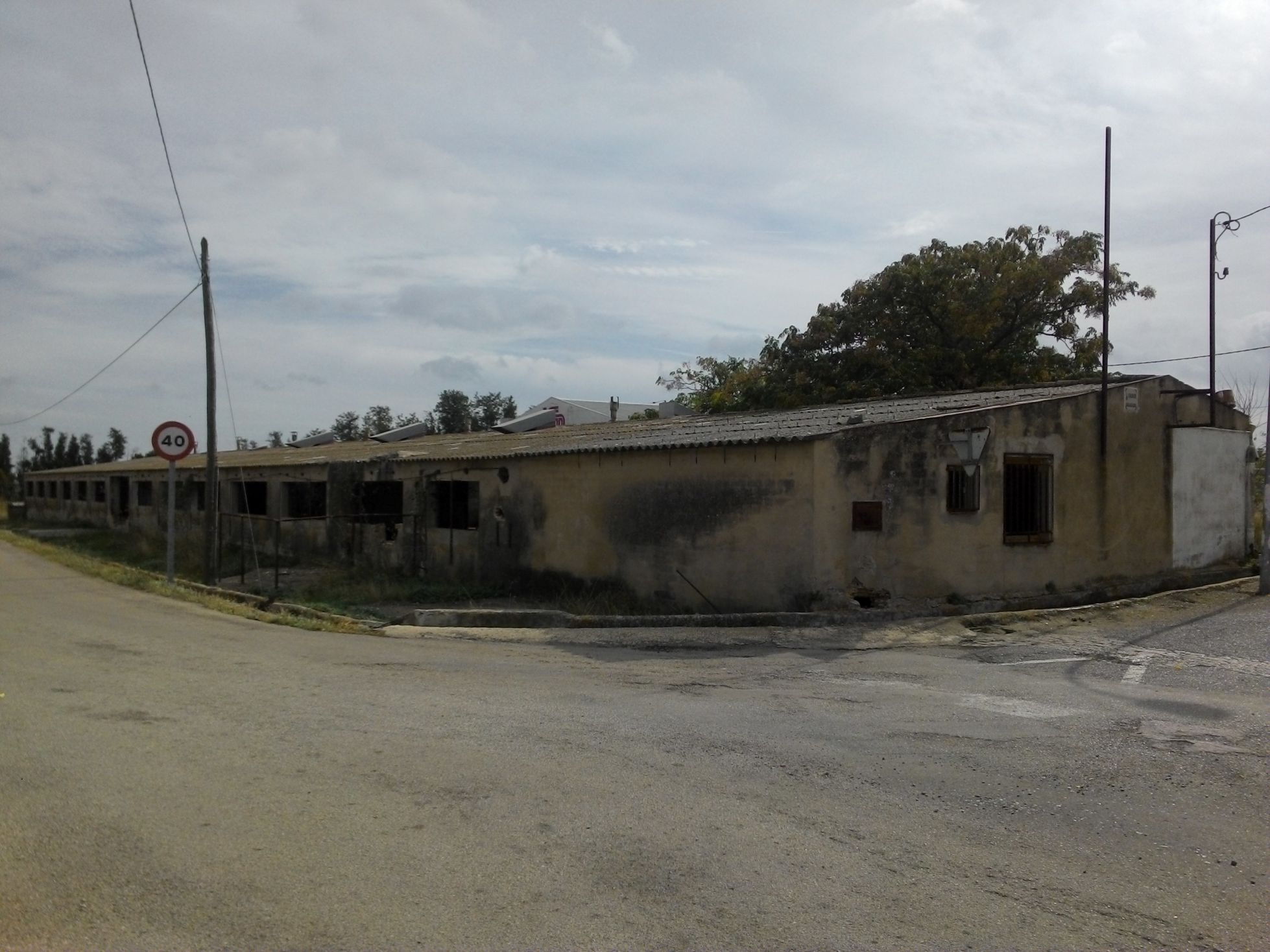 Imagen de la subasta en San Rafael Del Rio