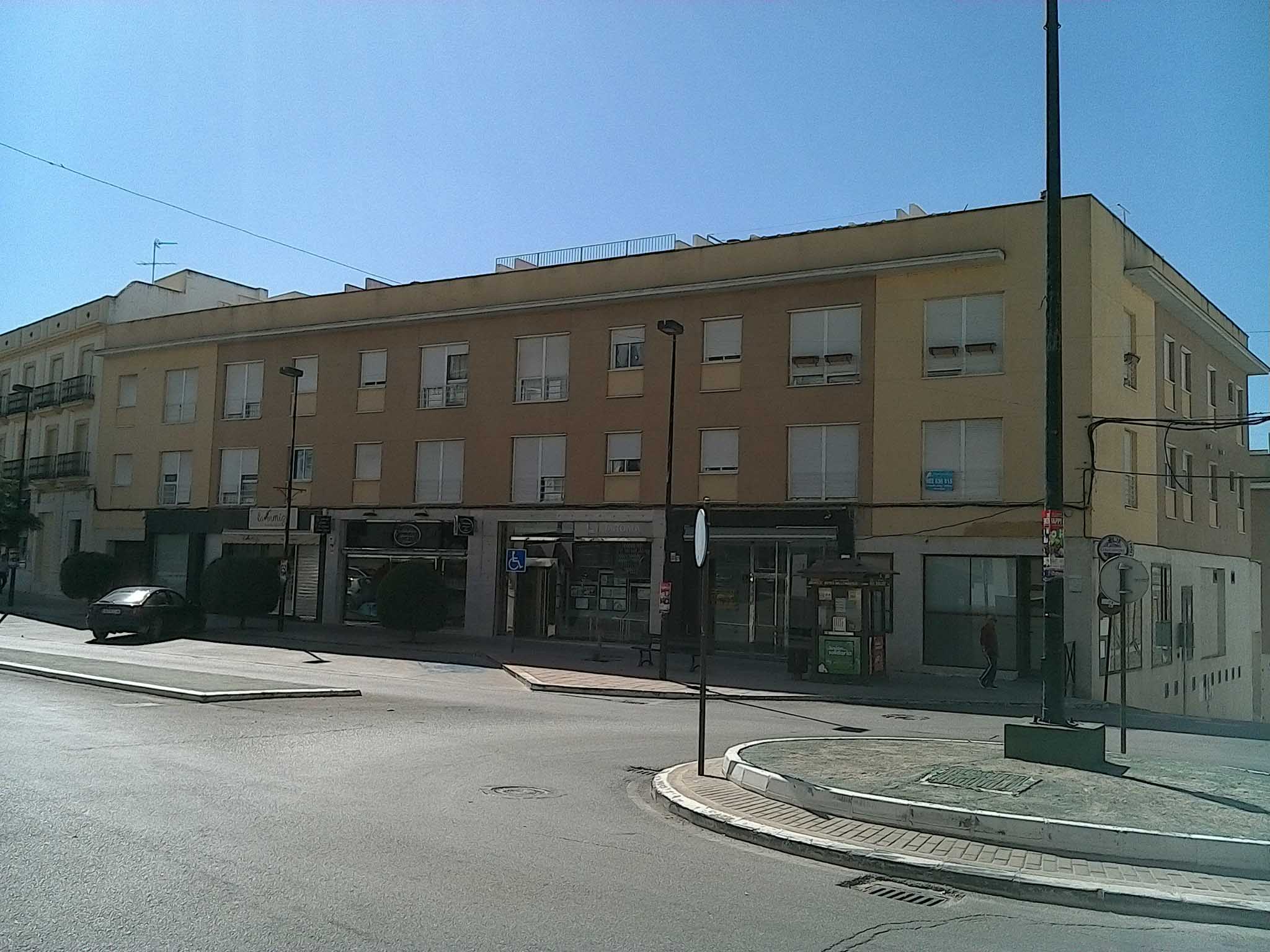 Imagen de la subasta en Estepa