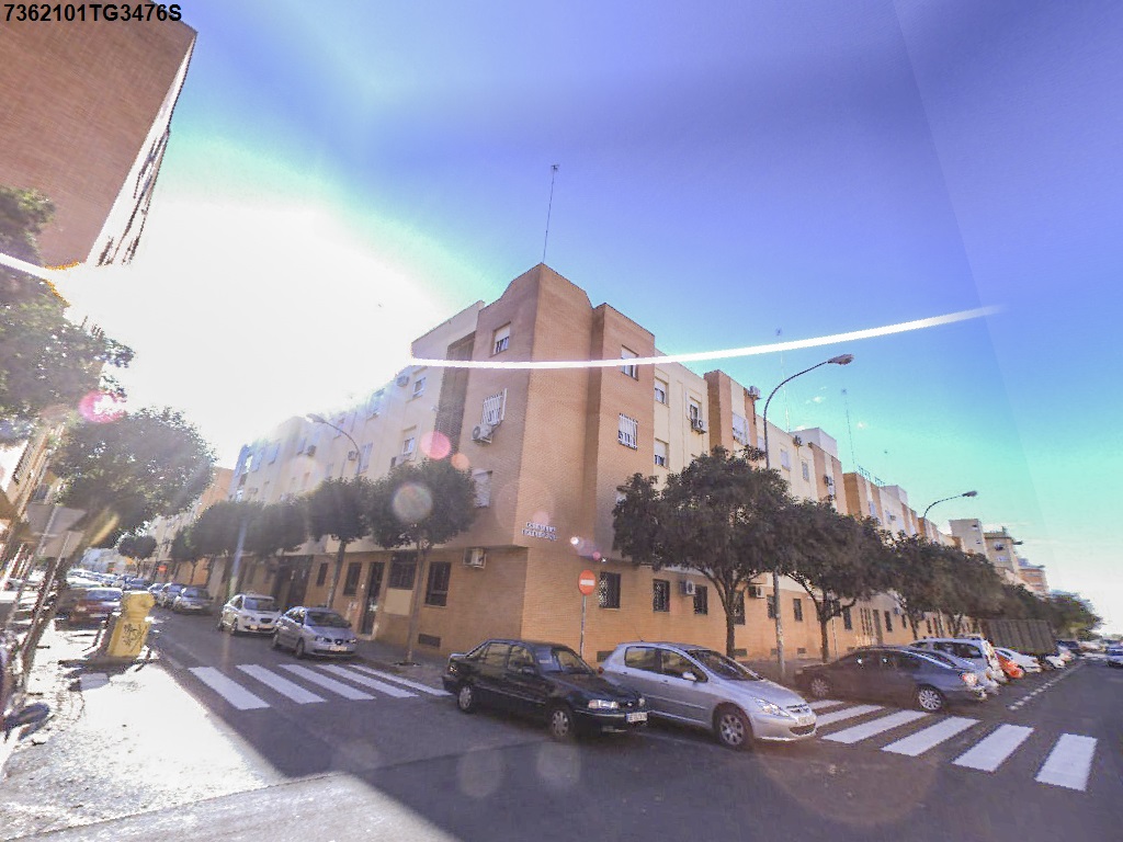 Imagen de la subasta en Sevilla