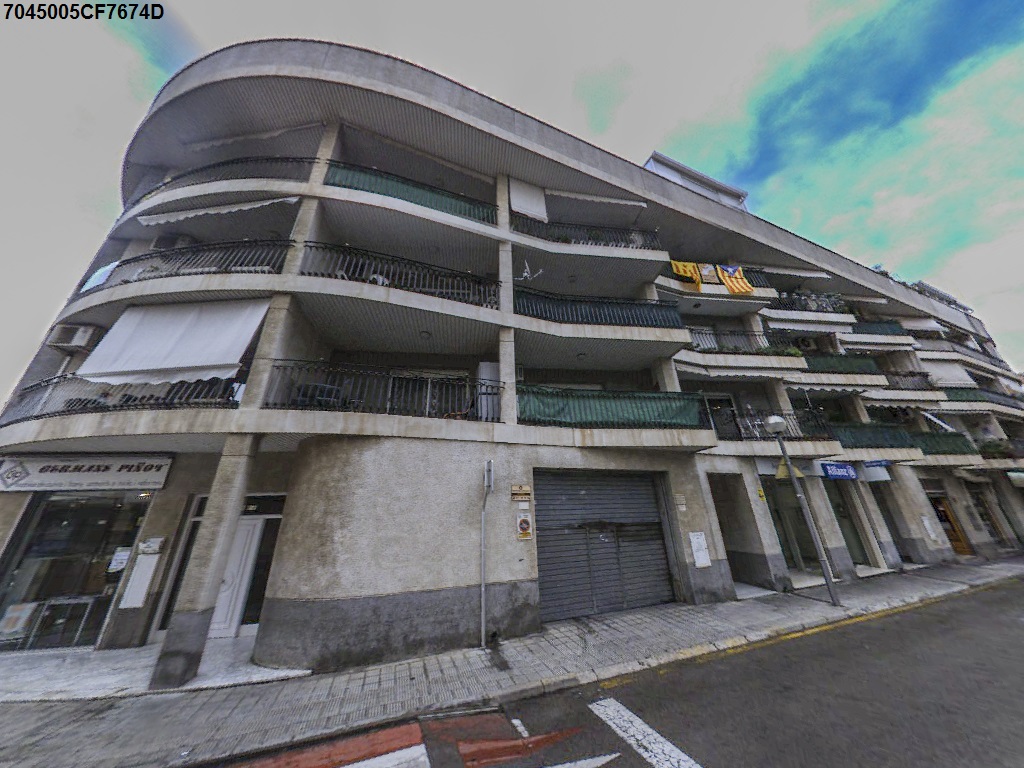 Imagen de la subasta en El Vendrell