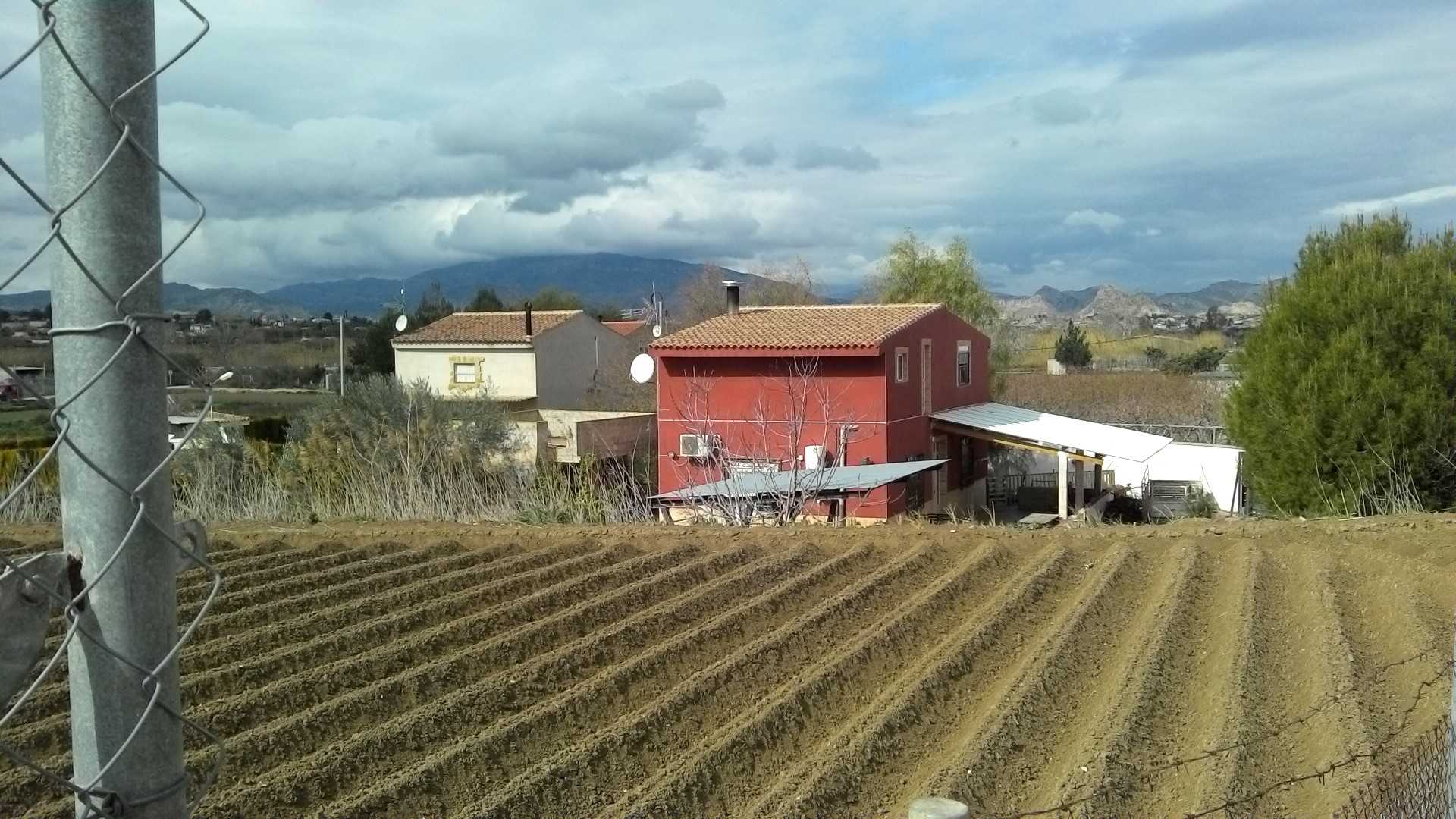 Imagen de la subasta en Lorquí