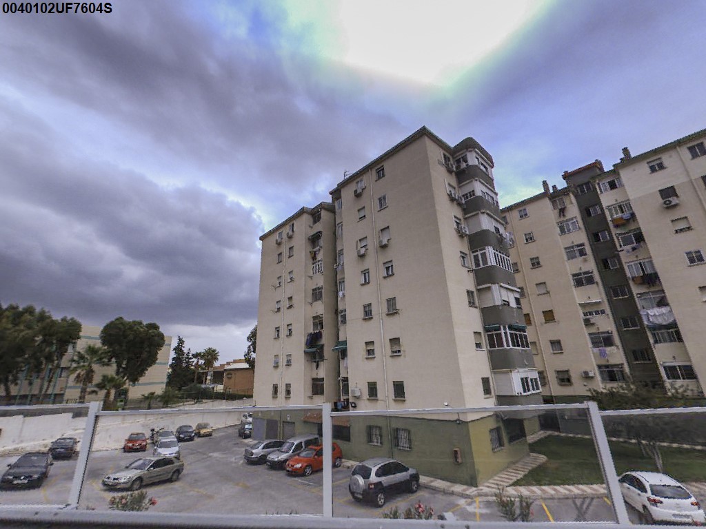 Imagen de la subasta en Malaga