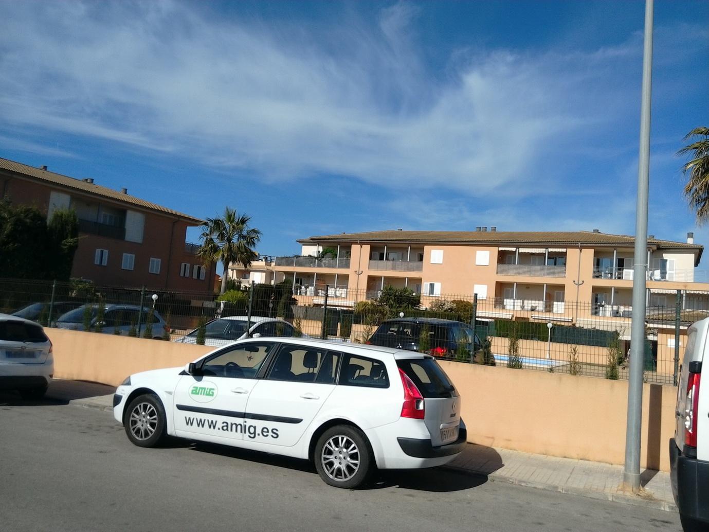 Imagen de la subasta en Llucmajor