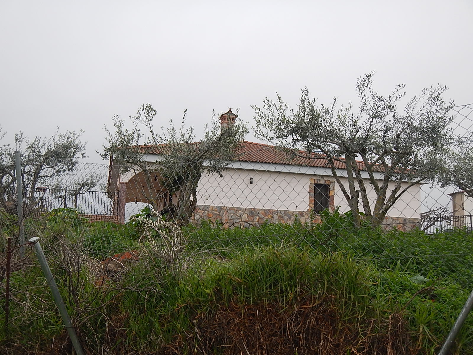 Imagen de la subasta en Torrejoncillo