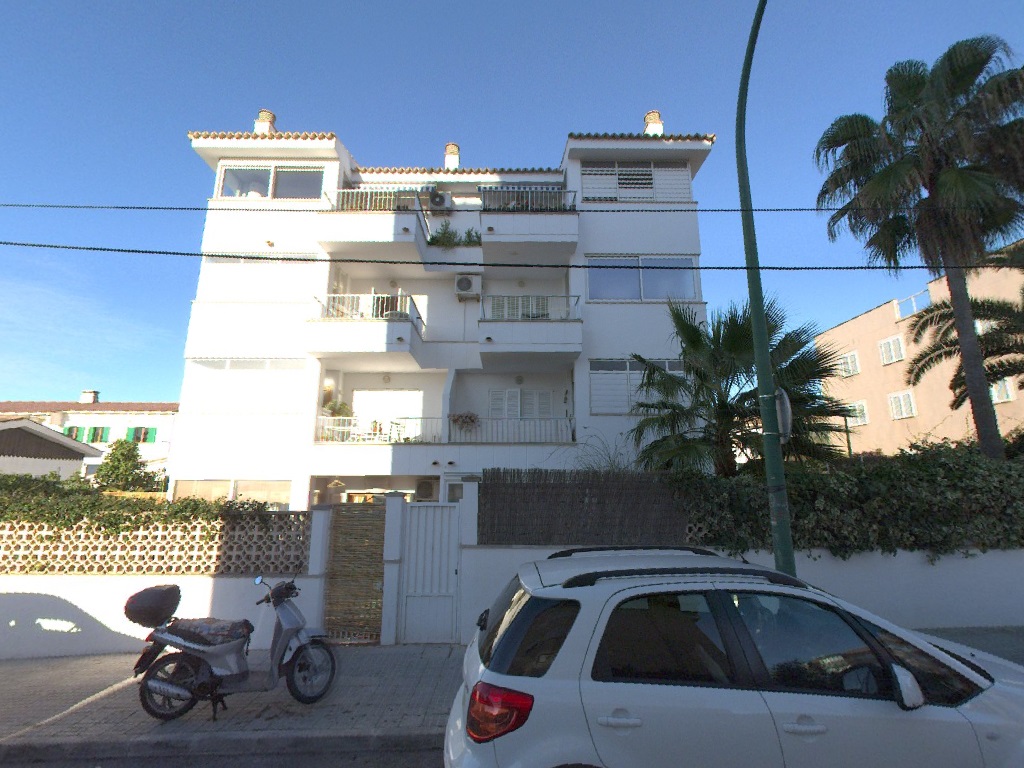 Imagen de la subasta en Palma