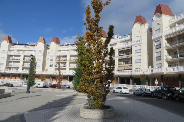 Imagen de la subasta en Arganda