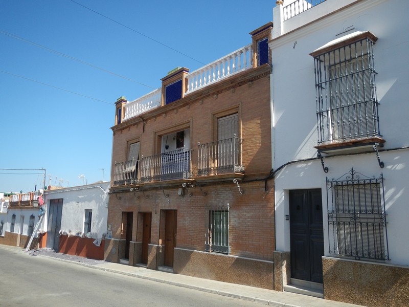 Imagen de la subasta en Carmona