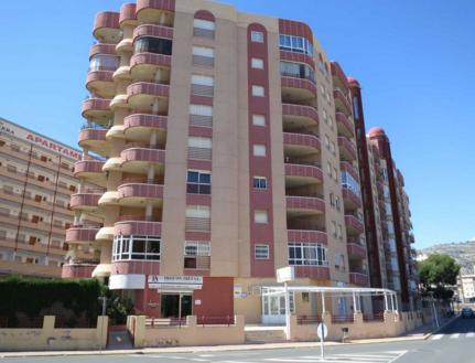 Imagen de la subasta en Oropesa
