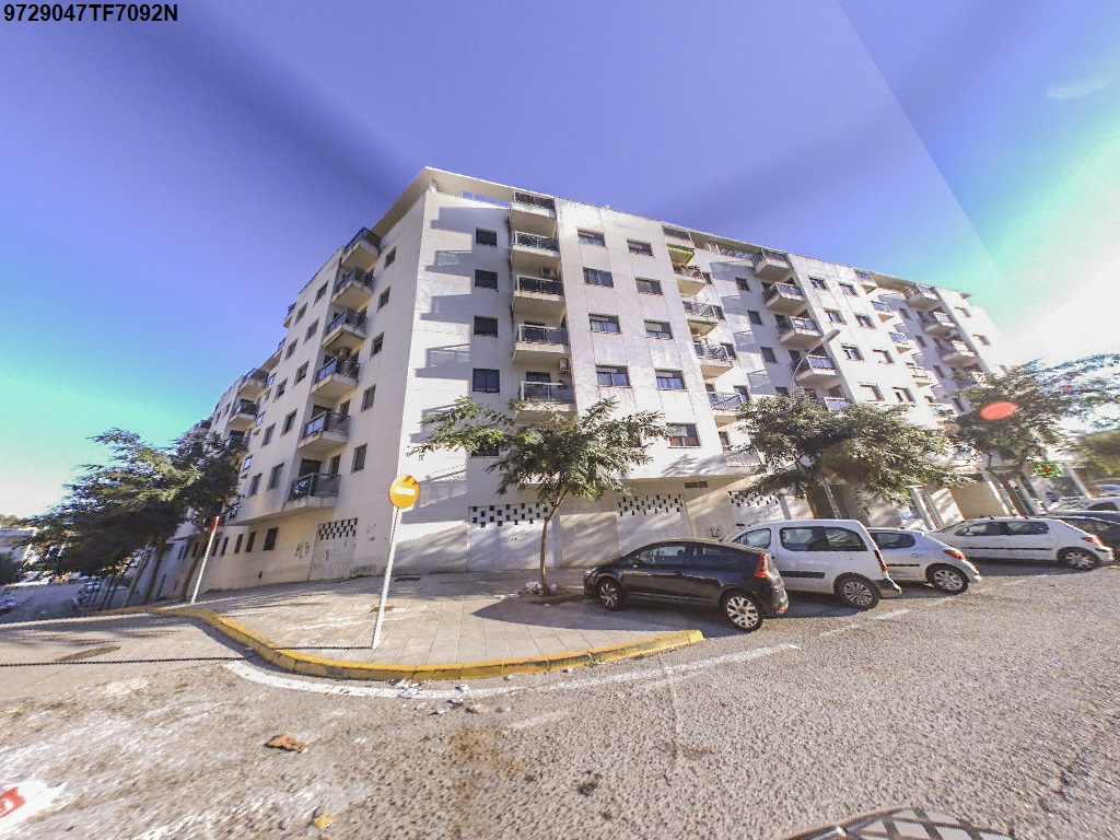 Imagen de la subasta en Algeciras