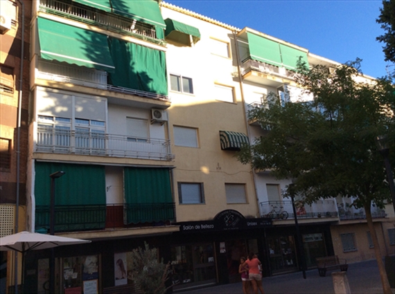 Imagen de la subasta en Maracena