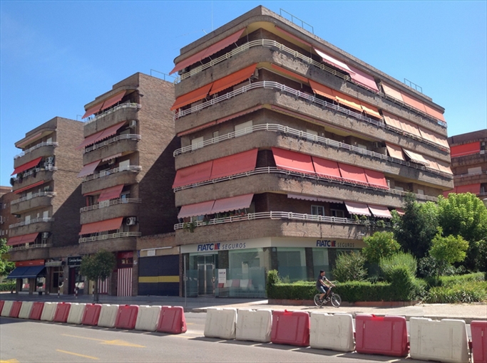 Imagen de la subasta en Granada