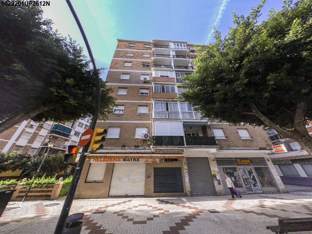 Imagen de la subasta en Malaga