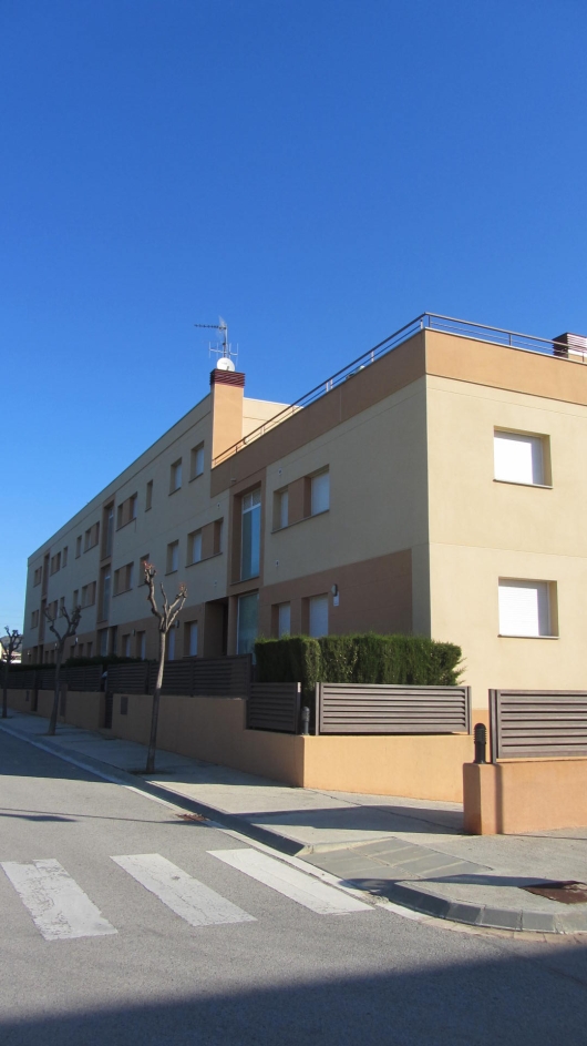 Imagen de la subasta en Roda De Barà