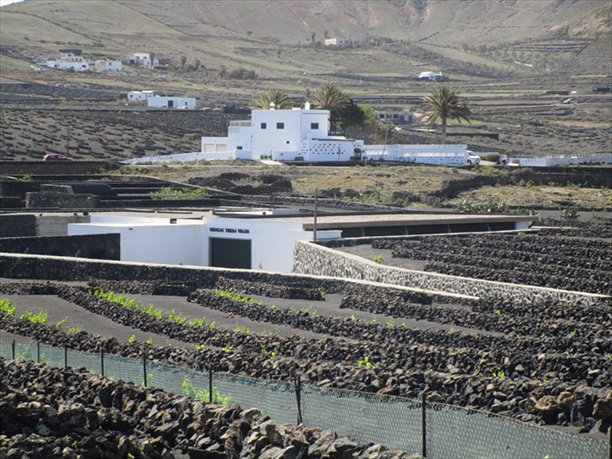 Imagen de la subasta en San Bartolomé