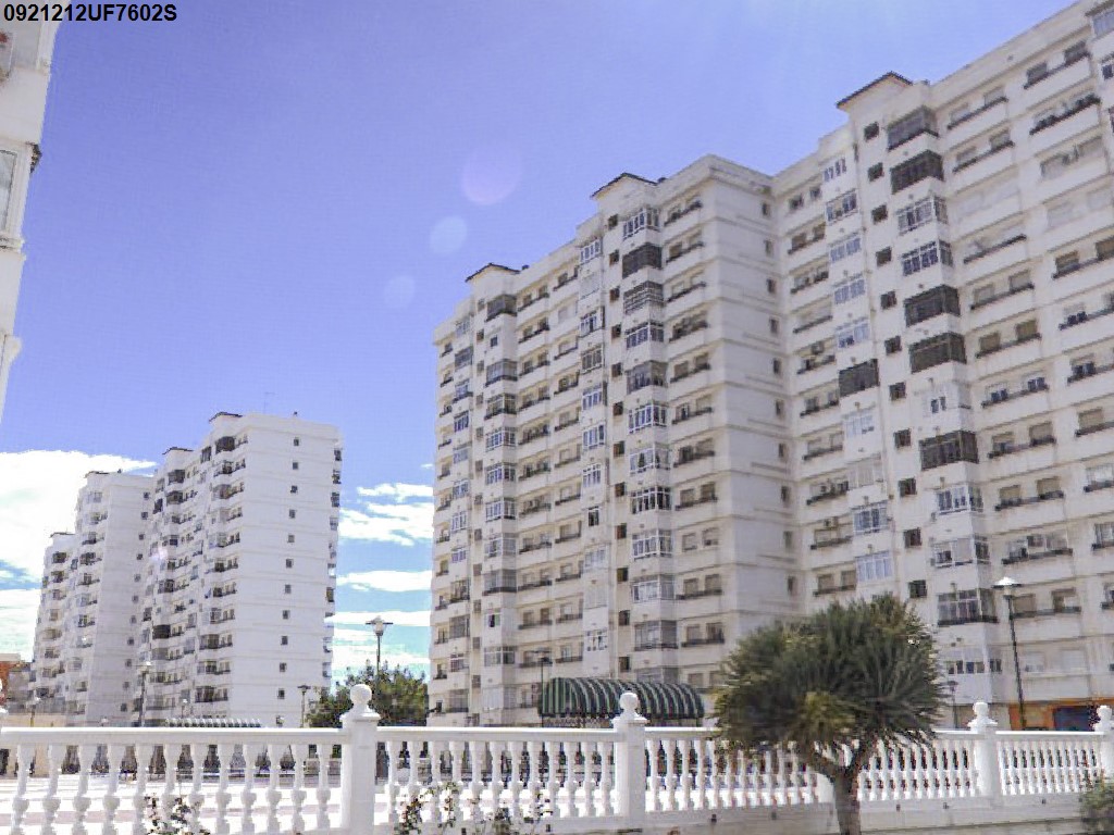Imagen de la subasta en Malaga