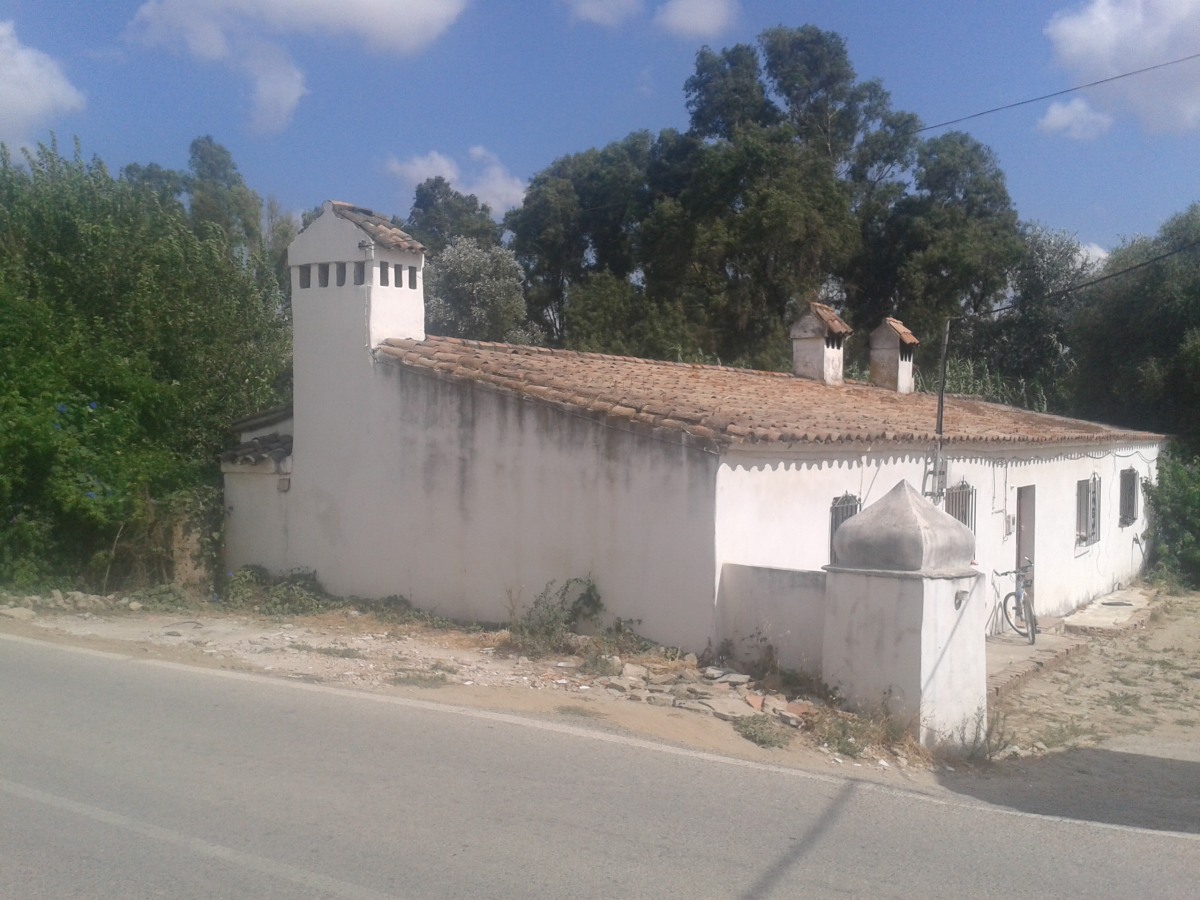 Imagen de la subasta en Jimena De La Frontera