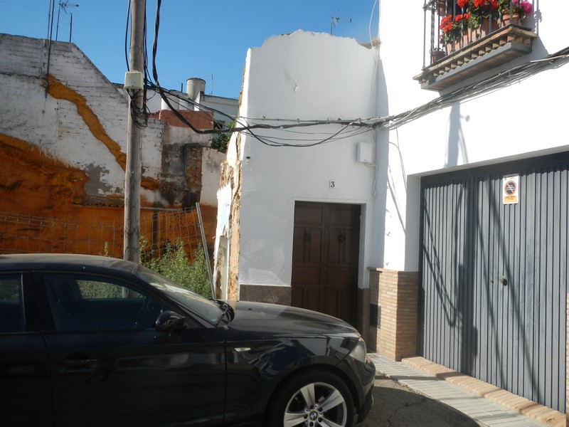 Imagen de la subasta en Carmona