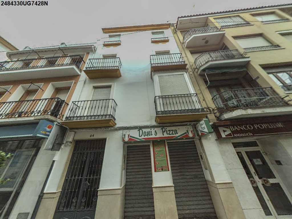 Imagen de la subasta en Cabra